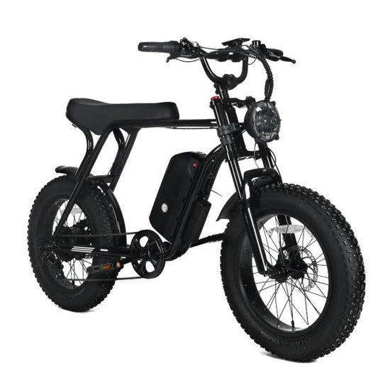 Electric Mountain Bike For Adults, 20 x 4.0 Fat Tires, 1000W Motor, 48V 20Ah Battery, Black - G-M1Sp