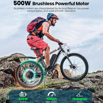Gocio Adult Electric Mountain Bike 26 inch 500W 48V 7.8AH